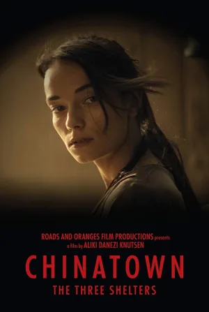 شانزدهمین پناهگاه های Chinatown