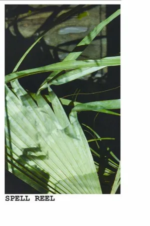 چرخش جادو