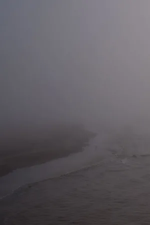 Niebla