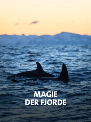 NORWAY´S MAGICAL FJORDS
