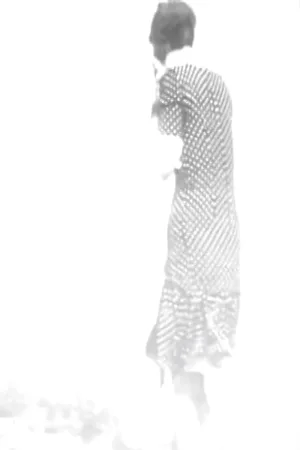 فلوکس