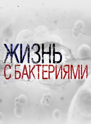 زندگی با باکتری