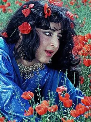 بُرشِ داستانی عشق