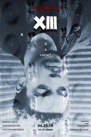 ۱۳