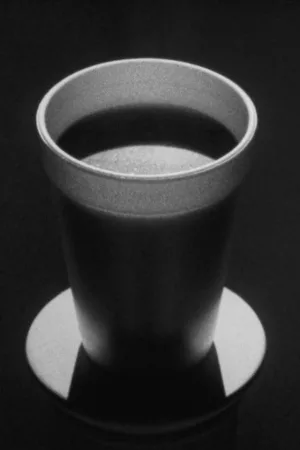 این اقدام دروغ می‌گوید