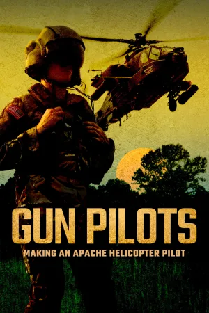 Pilots سلاحی