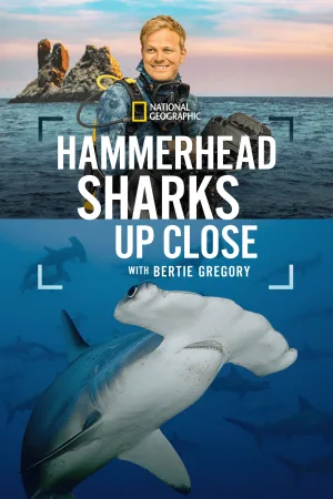 Hammerhead Shark ها به‌دور از فاصله با برت گریگوری