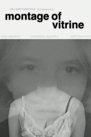 Montage of Vitrine
