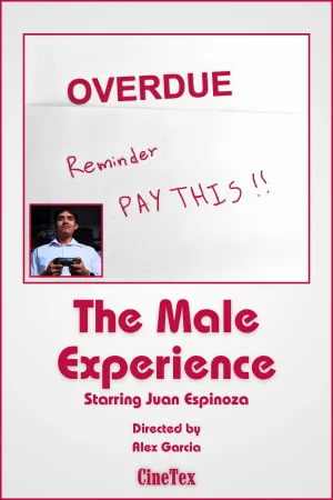 The Male Experience