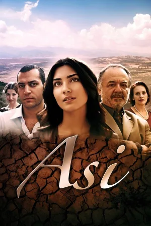 آسی