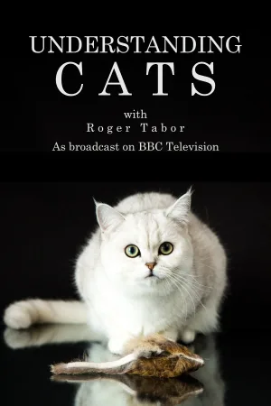 درک Cats