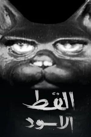 گربه سیاه (عنوان فارسی برای این سریال)