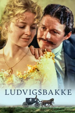 Ludvigsbakke