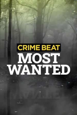 Crime Beat: بیشترین جستجو