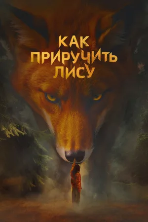 how to tame a fox