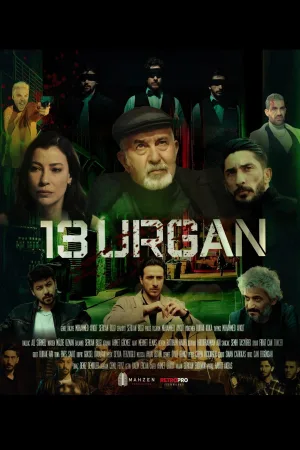 13 اُرگان