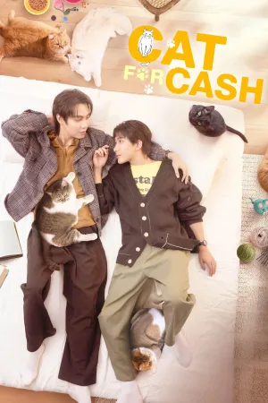 گربه برای پول
