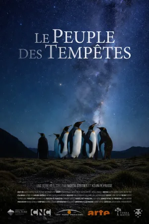 جانوران طوفان