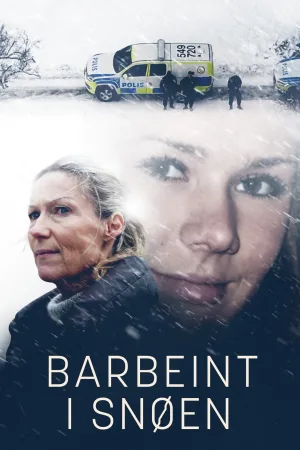 باربینت i Snøen