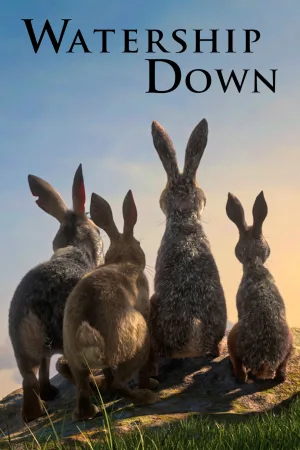 درازی down