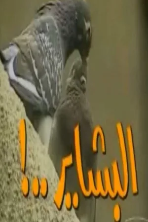 نشانه های مبارک