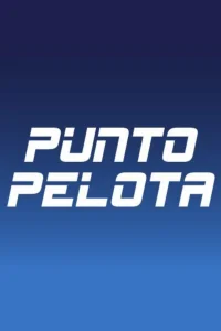 Punto pelota