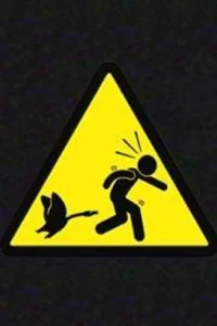 بازماندگان غیرممکن