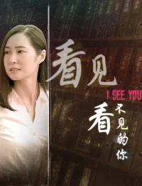看见看不见的你