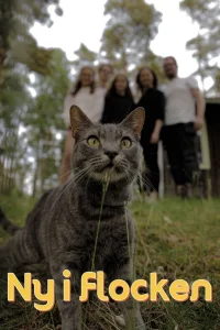 سریال تازه به پَک