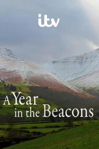 A Year in the Beacons
