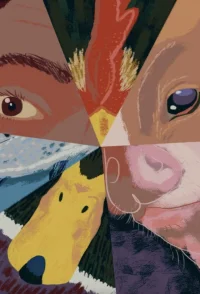 کی می‌تواند بخورد؟