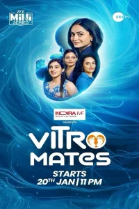 ویترو مایتس