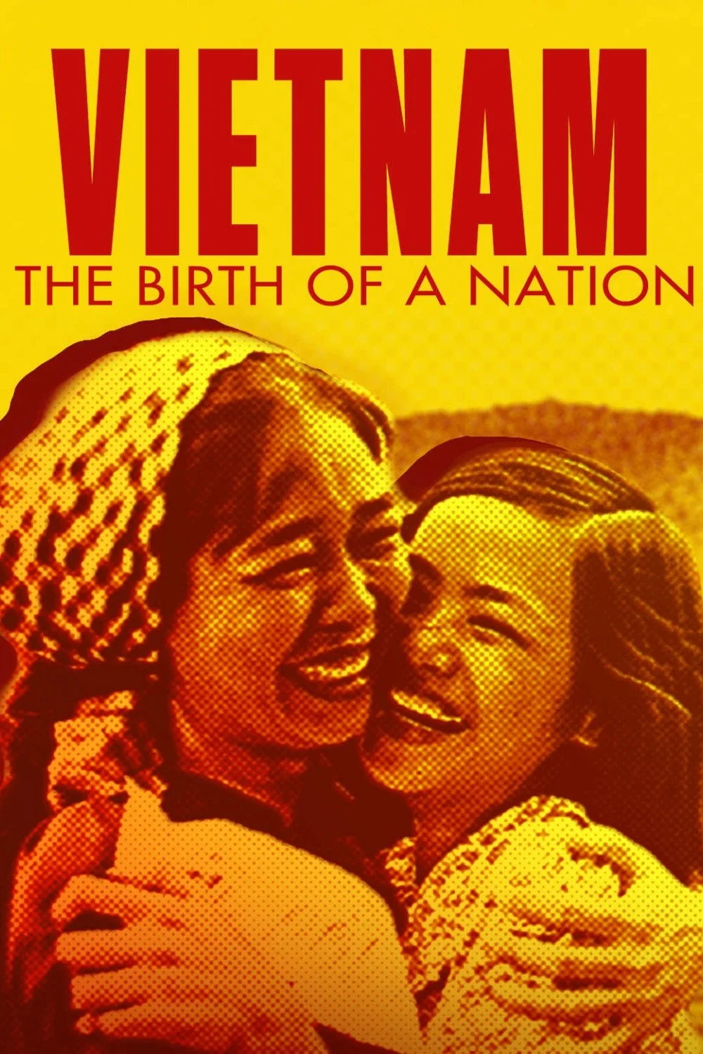 Vietnam. Geburt einer Nation