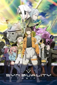 سندوالیته نویر