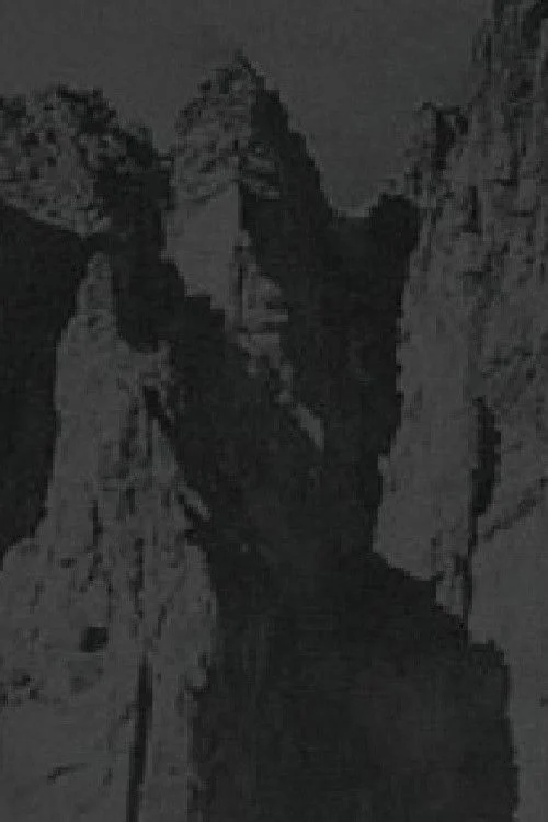 The Constellation of White Mulberry Tree