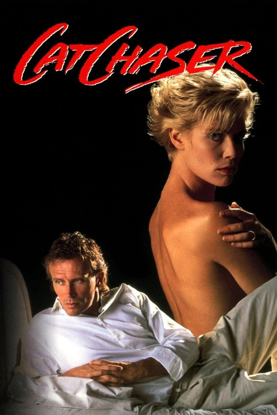 شکارچی گربه