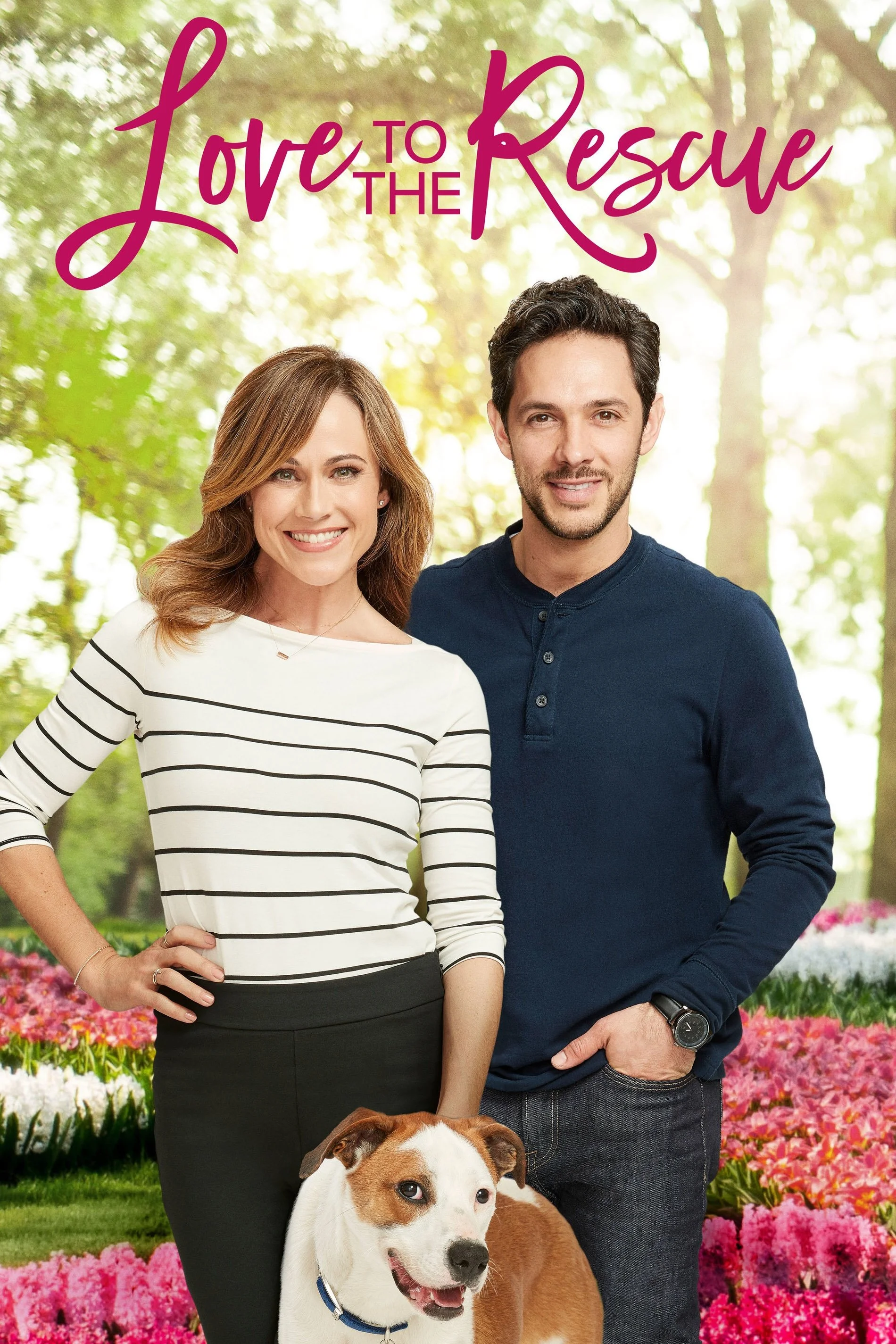 عشق به نجات