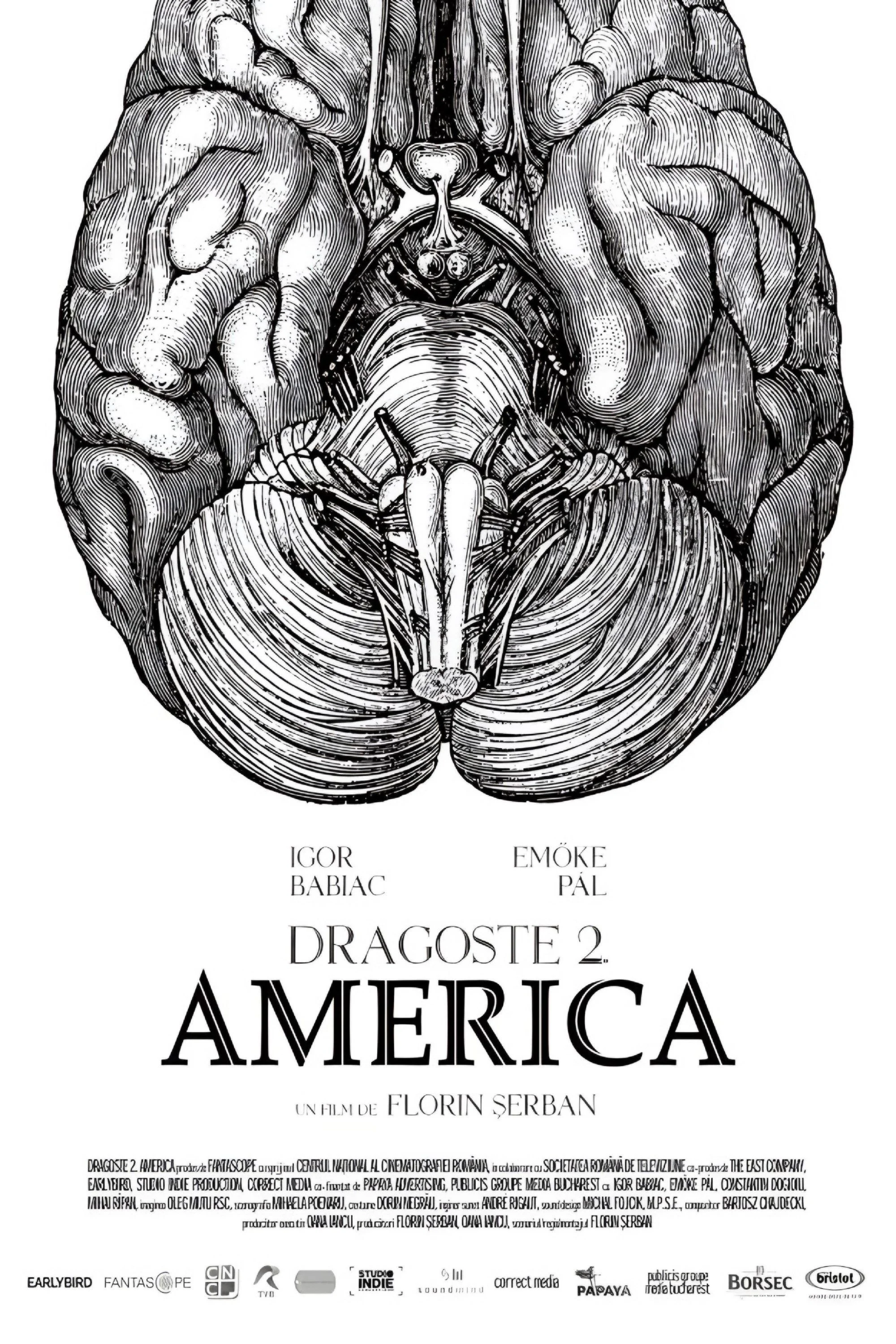 عشق ۲. آمریکا