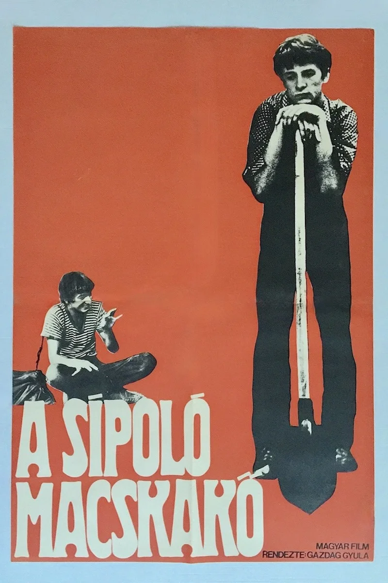 سنگفرش وزوزکننده