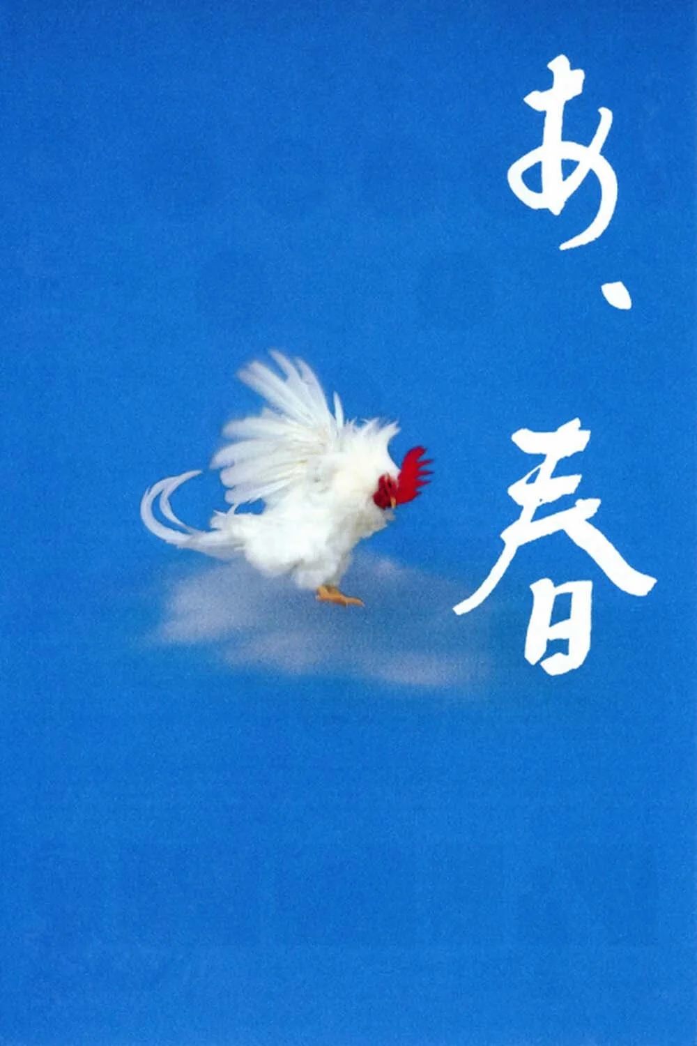 صبر کن و ببین