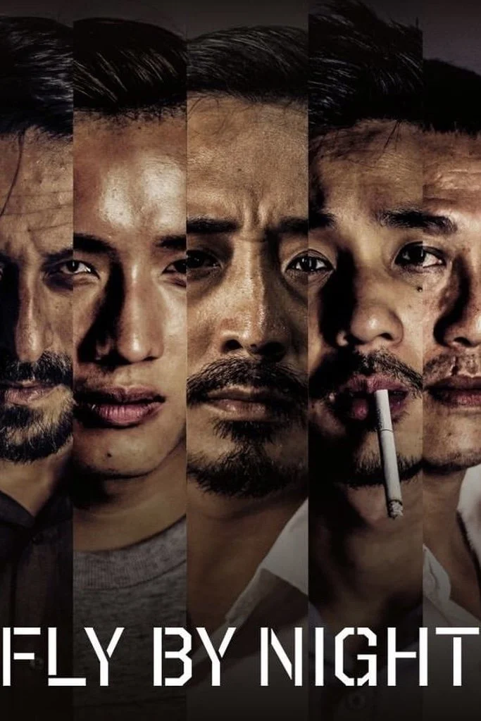 پرواز در شب