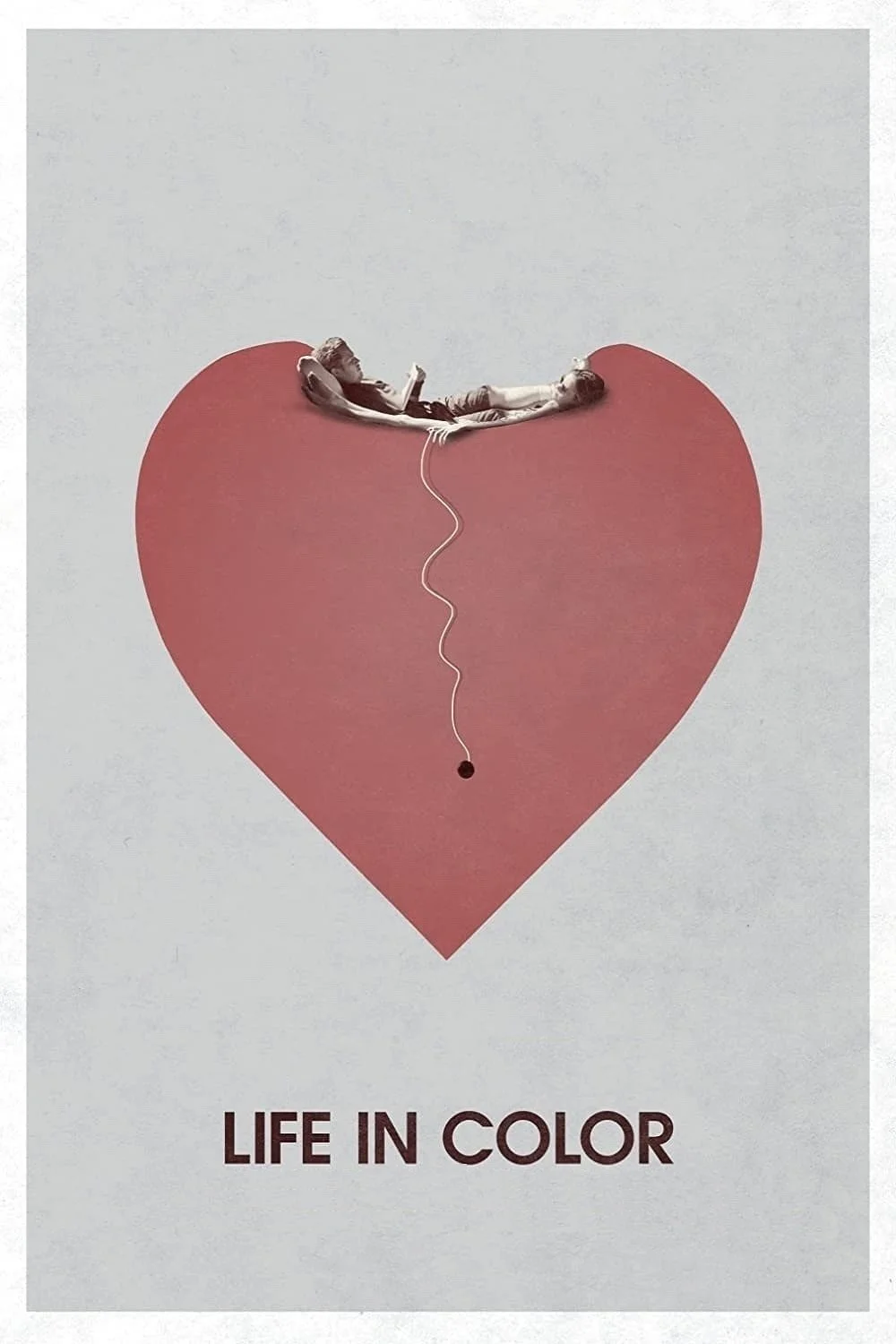 زندگی در رنگ