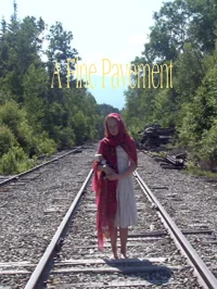 یک پیاده‌رو زیبا