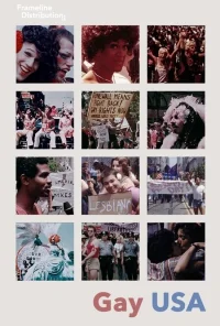 گای ایالات متحده