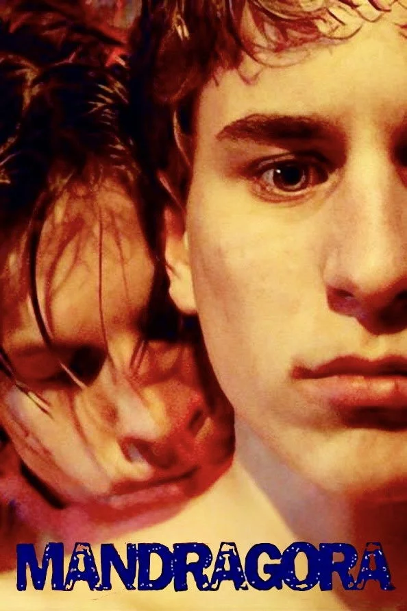 Mandrake