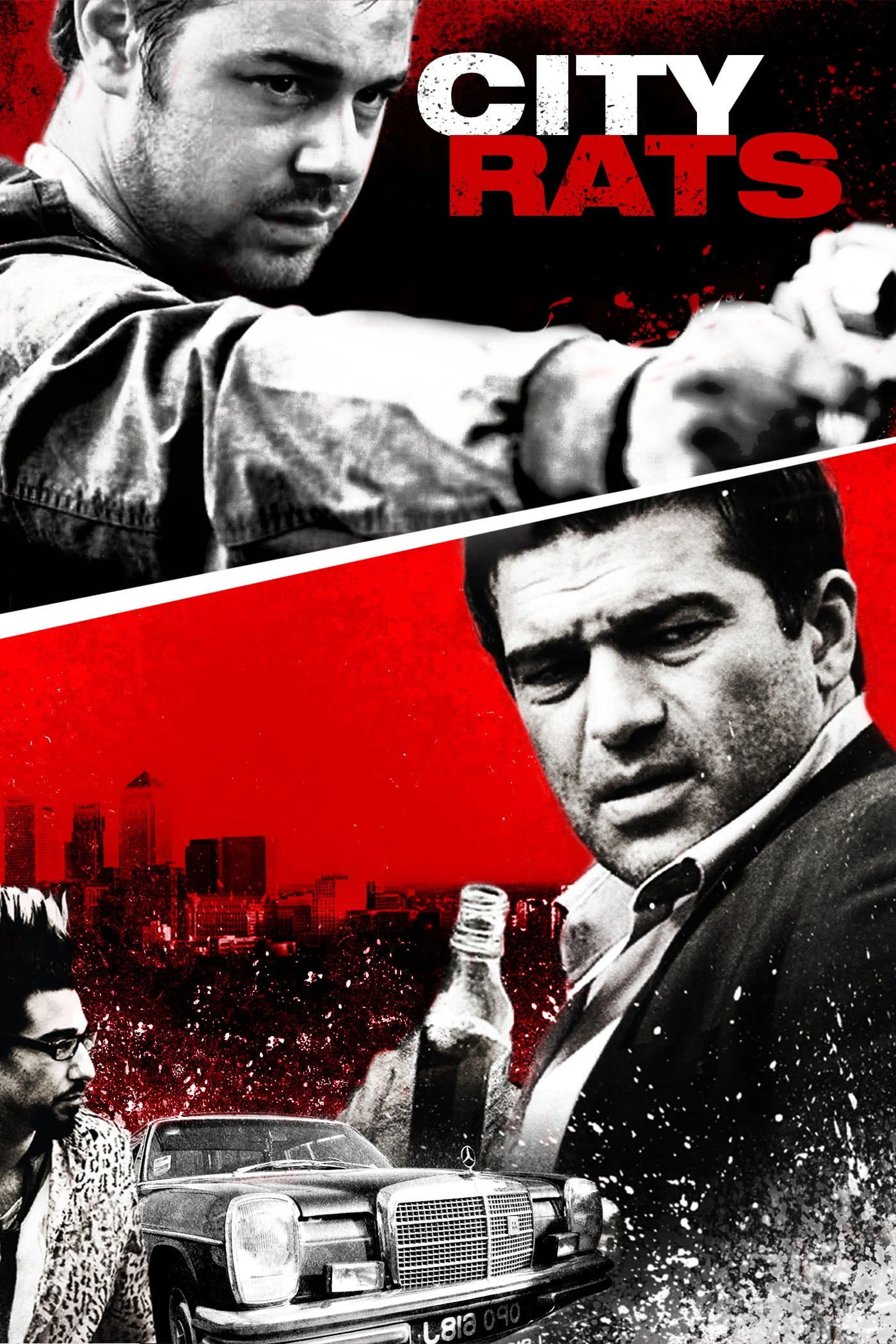 موش‌های شهری