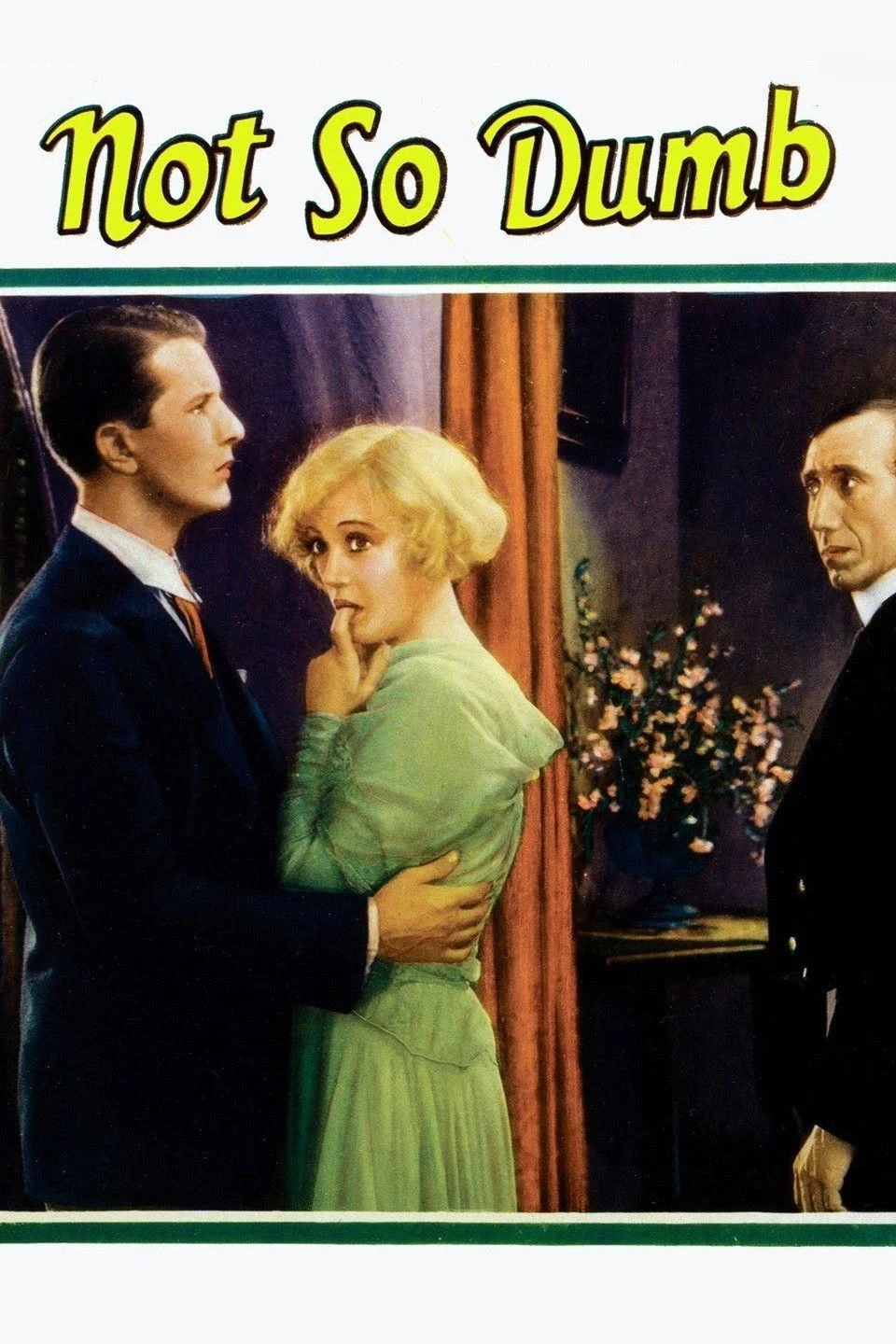 نه چندان احمق