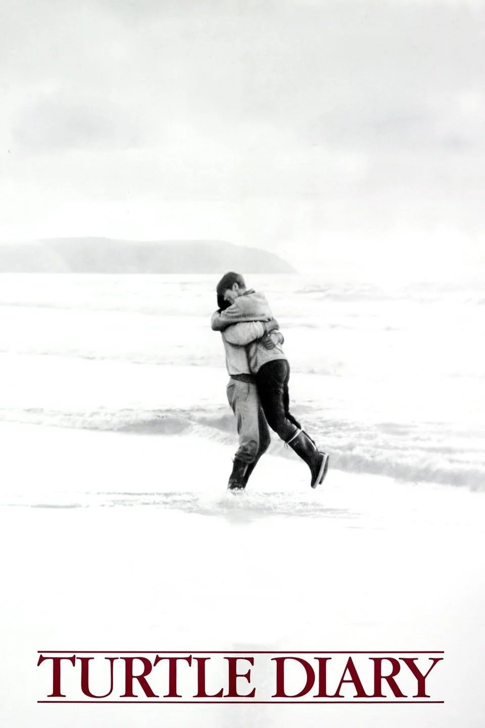 داستان لاک‌پشت