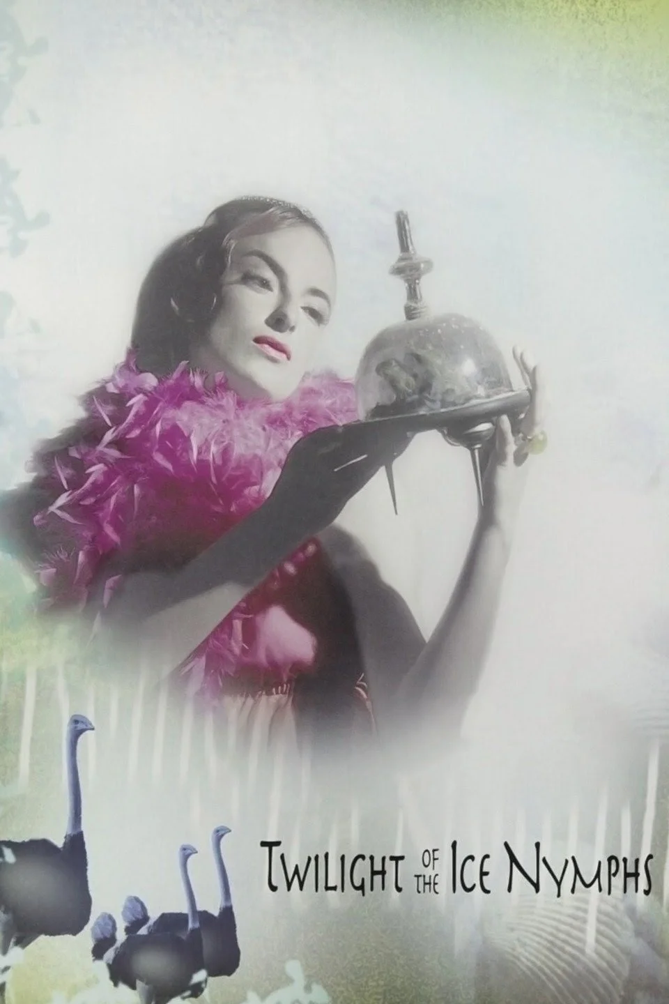 غروب نیلوفرهای یخی