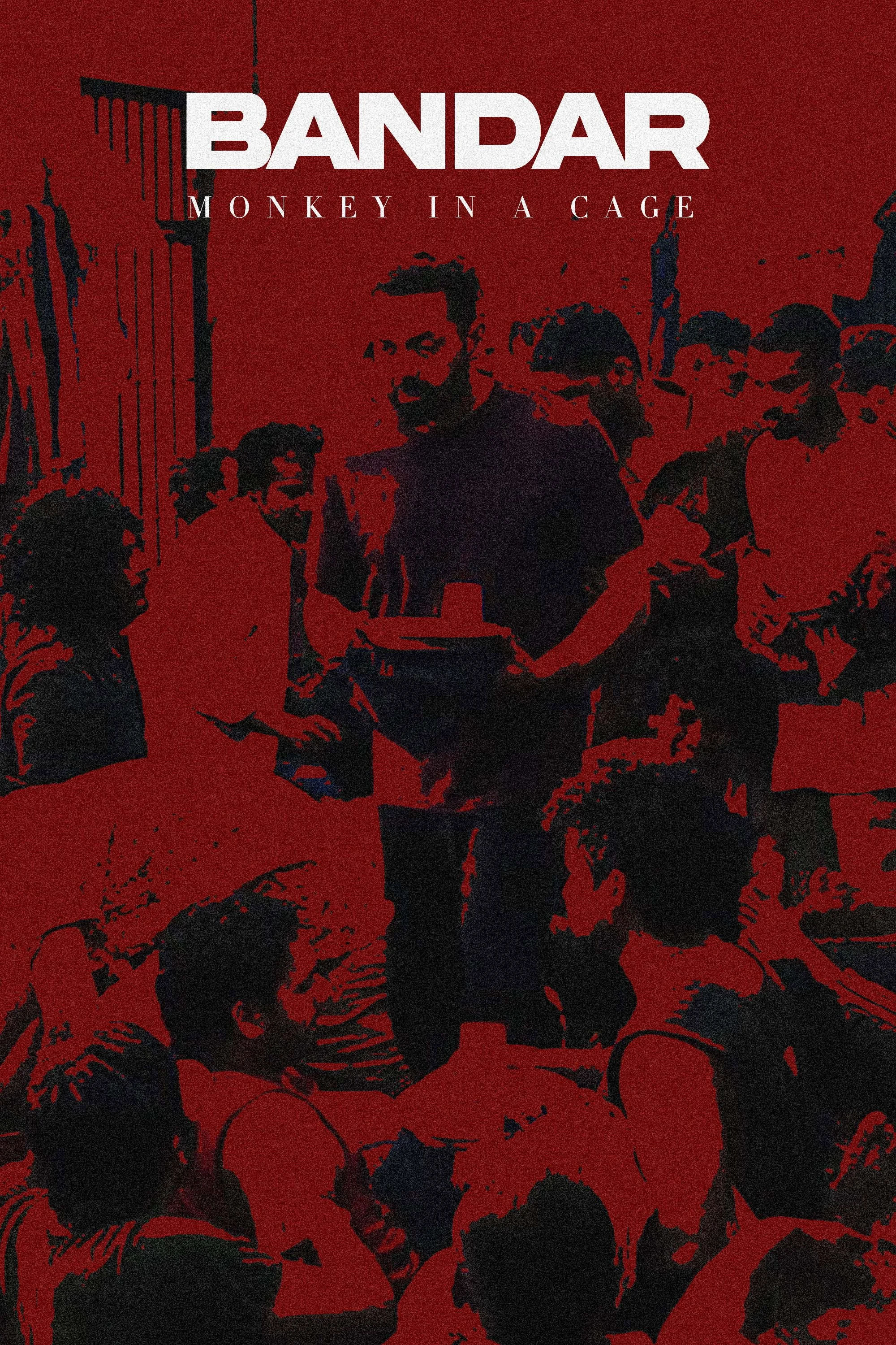 میمون در قفس